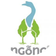 ngongvn489