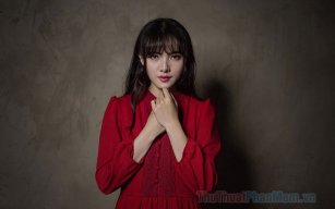 Nguyenlananh21